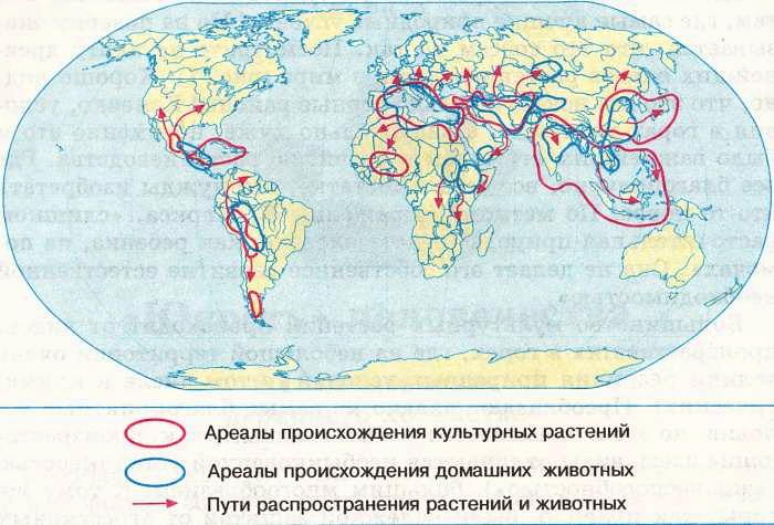 Схема центров происхождения культурных растений