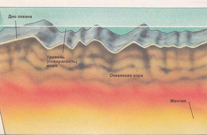 Строение дна океана рисунок